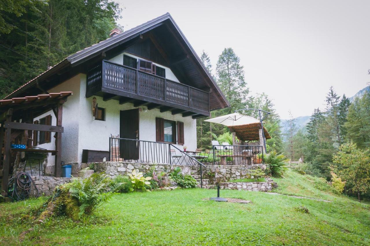 Naturalina Holiday House Gorenja Trebusa Eksteriør bilde